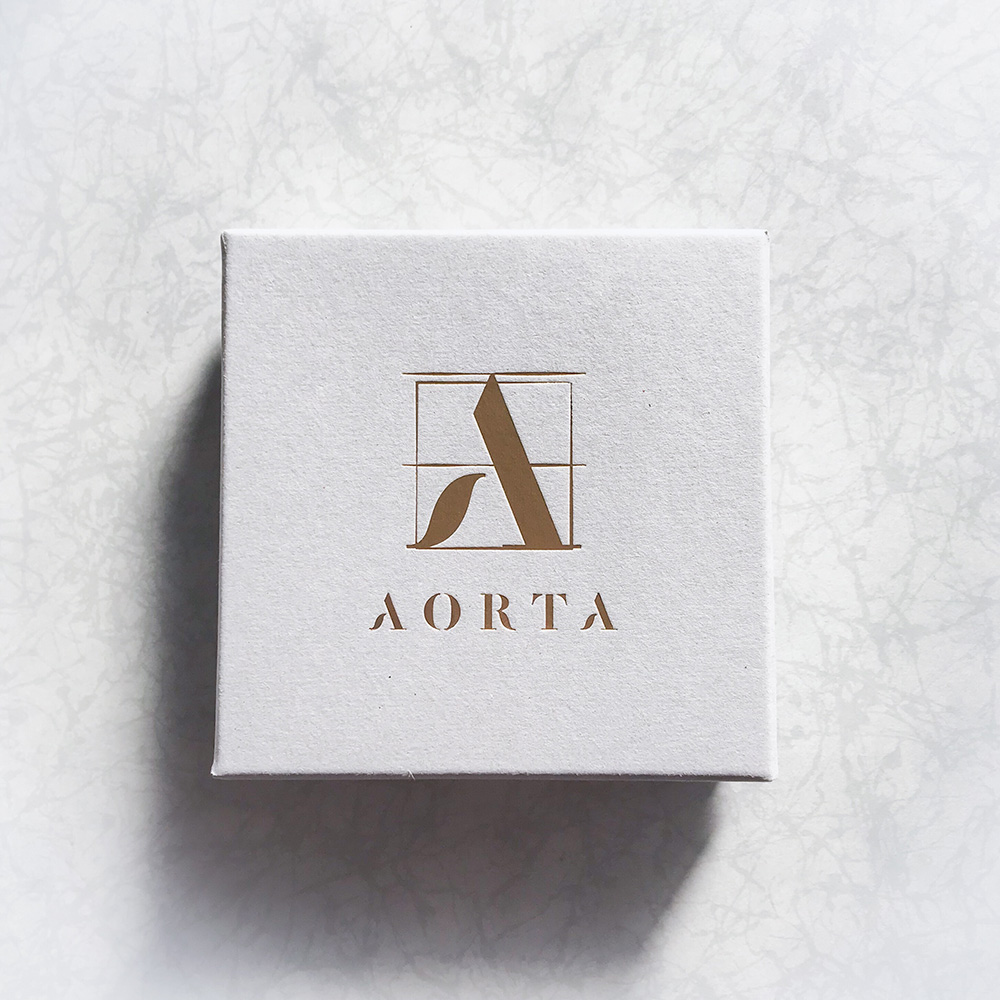 aorta_box_1